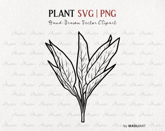 Leafy Plant SVG Clipart. Vector House Plant Line Drawing. Potted Plant Outline Illustration. Minimal Plant Art. PNG & SVG Art