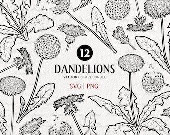 12 Pusteblumen SVG Clipart Set. Taraxacum Flower Line Art Blüten. Löwenzahn Vektor Zeichnung. Sommer Wildblumen Löwenzahn Clipart. PNG und SVG