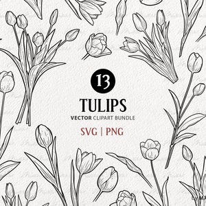 13 tulpen SVG clipart bundel. Pasen Tulp Vector Lijntekeningen. Lentebloem lijntekeningen. Botanische bloesems en bladeren. Commerciële PNG, SVG