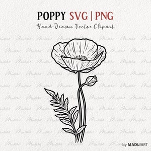Clipart SVG coquelicot. Dessin vectoriel de pavot. Clipart fleurs sauvages pavot. Dessin au trait de feuilles de fleur de pavot de printemps. PNG et SVG
