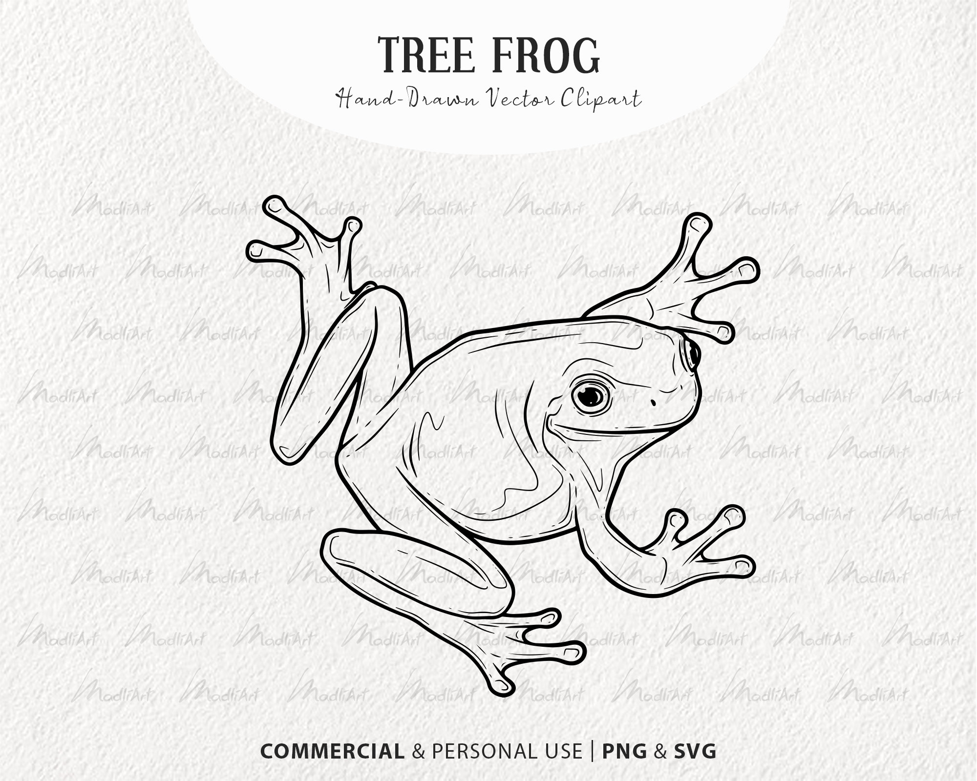 Tree Frog SVG Clipart Bundle. Frog Vector Drawings. Green Etsy