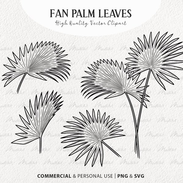 4 Fan Palm Leaves Clipart Set. Jungle Palm Tree Vector Art. Tropical Leaves Outline. Exotic Plant Line Drawings. Botanical PNG & SVG files