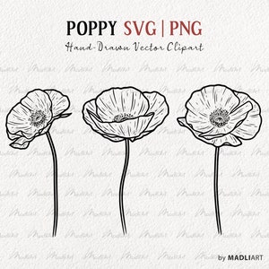 Lot de 3 cliparts SVG coquelicots. Dessin vectoriel de pavot. Clipart fleurs sauvages coquelicots. Dessin au trait de fleurs de pavot de printemps et de feuilles. PNG et SVG