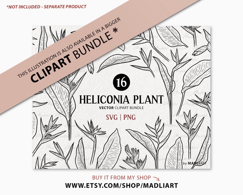 Bird Of Paradise Flower SVG Clipart. Tropical Flower Vector Outline. Heliconia Floral Line Illustration. Exotic Jungle Plant Art. PNG & SVG image 4