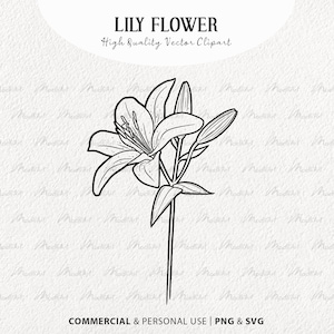 Lilie Blume SVG Clipart. Tigerlilienblüte. Blumenstrauß Strichzeichnung. Ostern, Lilie, Vektor, Umriss. Frühling Wildblume. PNG und SVG