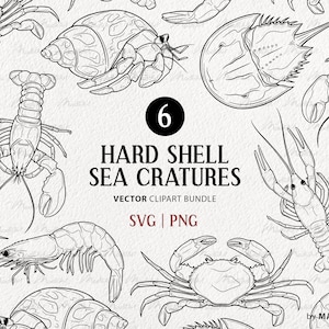 Op de afbeelding: Een zwart-witte lijnkunst-illustratieset van zes zeedieren met een harde schil. De set bevat een krab, een kreeft, een garnaal, een hoefijzerkrab, een heremietkrab en een rivierkreeft. De illustraties zijn in een eenvoudige, minimalistische stijl.