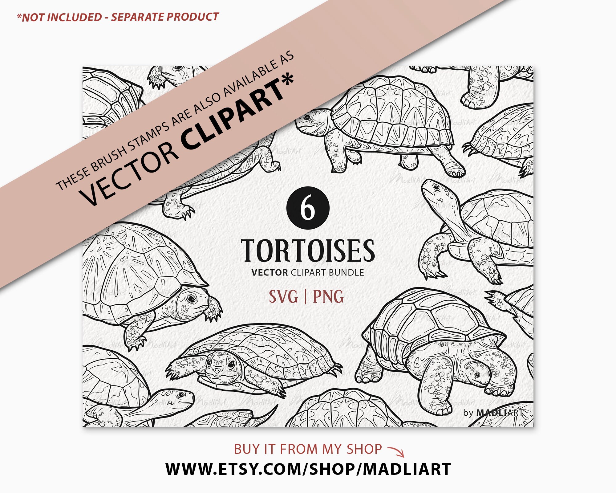 6 Tortoise Procreate Stamps. Land Turtle Tattoo Design. Galapagos Tortoise  Line Art Brushes. Cute Turtle Drawing Stamps for Procreate iPad 