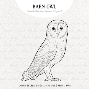 Clipart SVG effraie des cloches. Illustration vectorielle de harfang des neiges. Dessin au trait oiseau assis. Conception d'oiseau bohème pour Cricut. Hibou Hedwige. PNG et SVG à usage commercial
