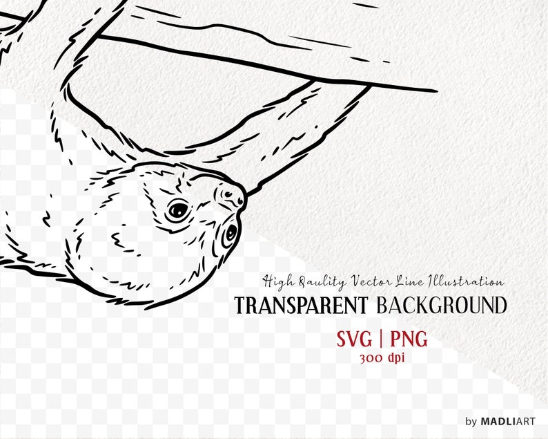 Sloth SVG Clipart Bundle. Cute Baby Sloth Line Illustrations. - Etsy