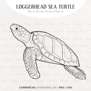 Tortuga boba SVG Clip Art. Arte de línea vectorial de tortugas marinas. Dibujo lineal de animales marinos. Ilustración de la vida silvestre del océano. Comercial PNG y SVG