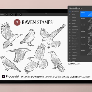 7 Procreate Raven Stamps. Crow Tattoo Design. Raven Clipart Brush ...