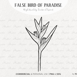 False Bird Of Paradise Flower SVG Clipart. Tropical Flower Vector Outline. Heliconia Rostrata Illustration. Exotic Jungle Plant. PNG & SVG
