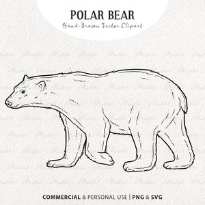 Clipart SVG ours polaire. Contour de vecteur d'ours d'hiver. Dessin d'ours des glaces. Dessin au trait de Noël. Contour d'animal d'hiver. PNG et SVG à usage commercial