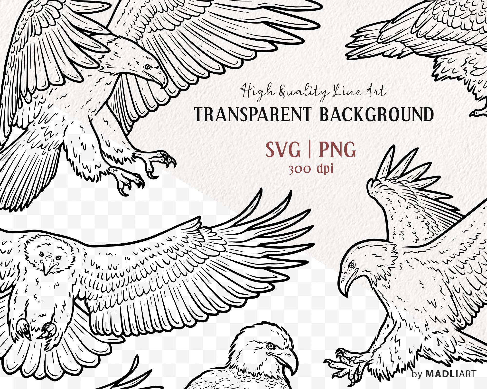 10 Eagle SVG Clipart Bundle. Bald Eagle Vector Line Drawings. Eagle