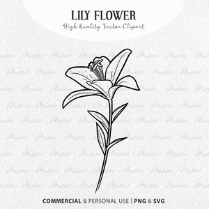 Lilie Blume SVG Clipart. Tigerlilienblüte. Blumenstrauß Strichzeichnung. Ostern, Lilie, Vektor, Umriss. Frühling Wildblume. PNG und SVG
