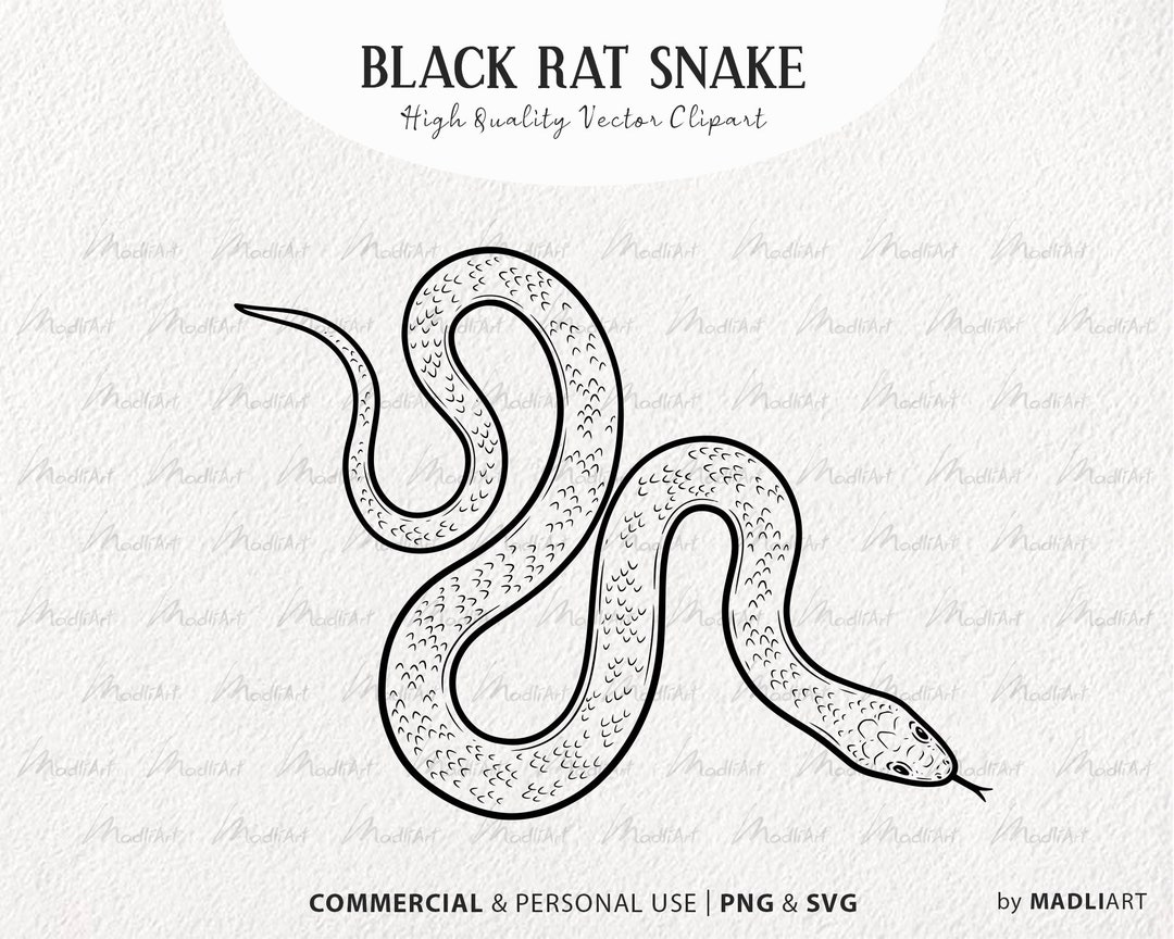 Rat Snake SVG Clipart. Snake Vector Drawing. Cobra Tattoo Design