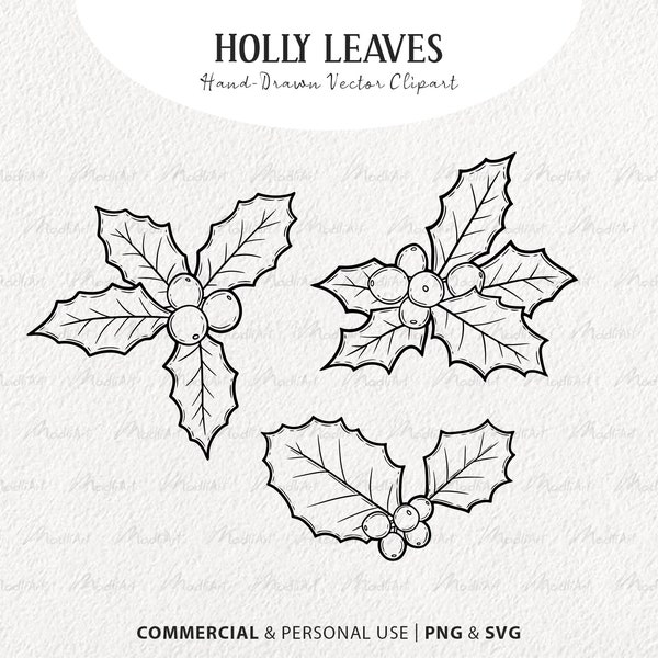 Christmas Holly SVG Clipart Set. Holly Vector Leaves. Xmas Mistletoe Line Illustrations. Winter Holiday Plant Decor. Holiday art. PNG & SVG
