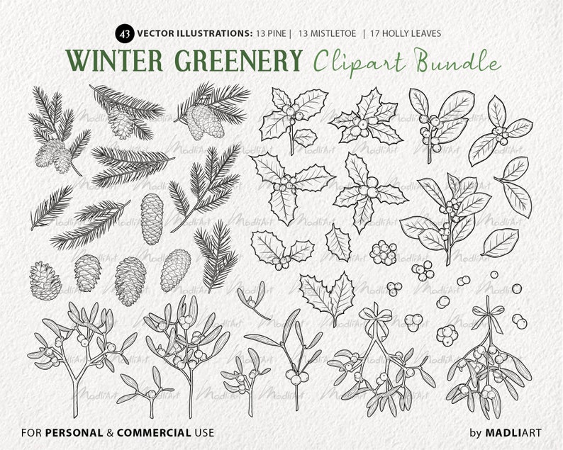 43 Winter Greenery Vector Clipart Bundle. Christmas Evergreen Plants ...