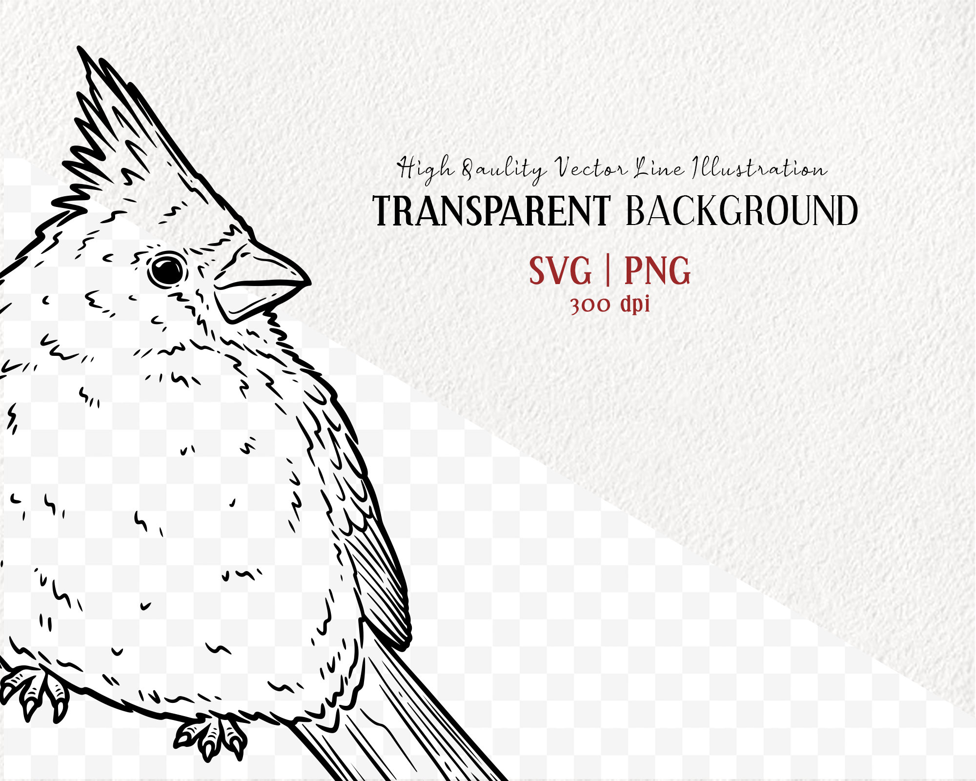 Cardinal Vector Clipart Bundle. Little Red Birds. Flying Birds Outline ...