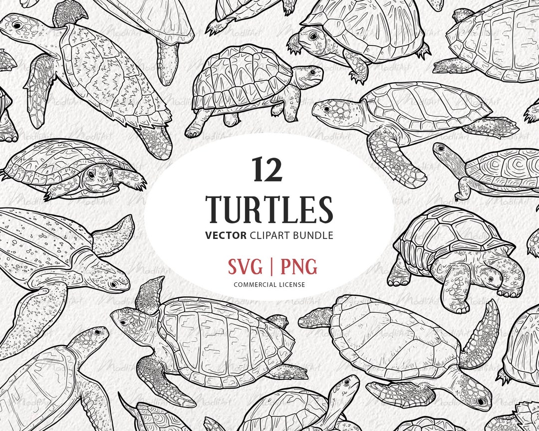 12 Turtles SVG Clipart Bundle. Sea Turtle & Land Tortoise - Etsy