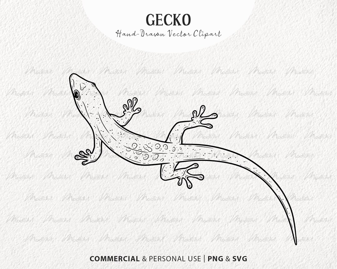 Gecko SVG Clipart. Lizard Vector Drawing. Leopard Gecko, Crested Gecko ...