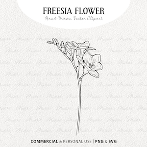 Lot de cliparts SVG freesia. Contour de vecteur de fleur de printemps. Dessin au trait de fleurs sauvages de printemps. Art botanique. SVG et PNG à usage commercial