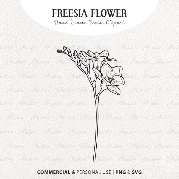 Freesia SVG Clipart Bundle. Spring Flower Vector Outline. Spring Wildflower Line Drawing. Botanical Art. Commercial Use SVG and PNG