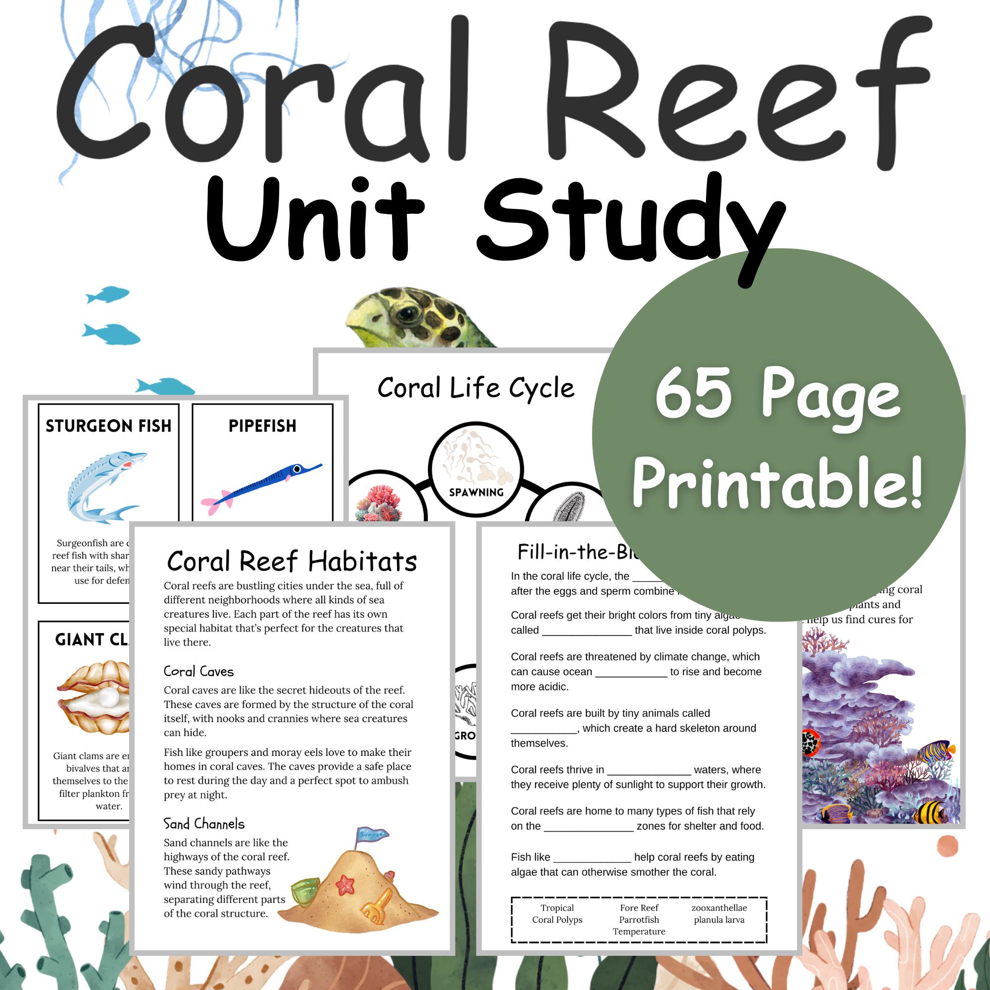 Coral Reef Unit Study (PDF Printable, Instant Download, Homeschool ...