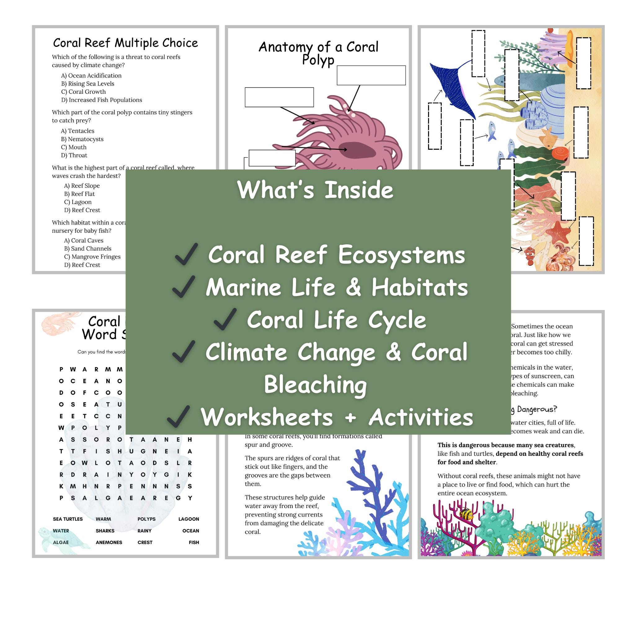Coral Reef Unit Study (PDF Printable, Instant Download, Homeschool ...