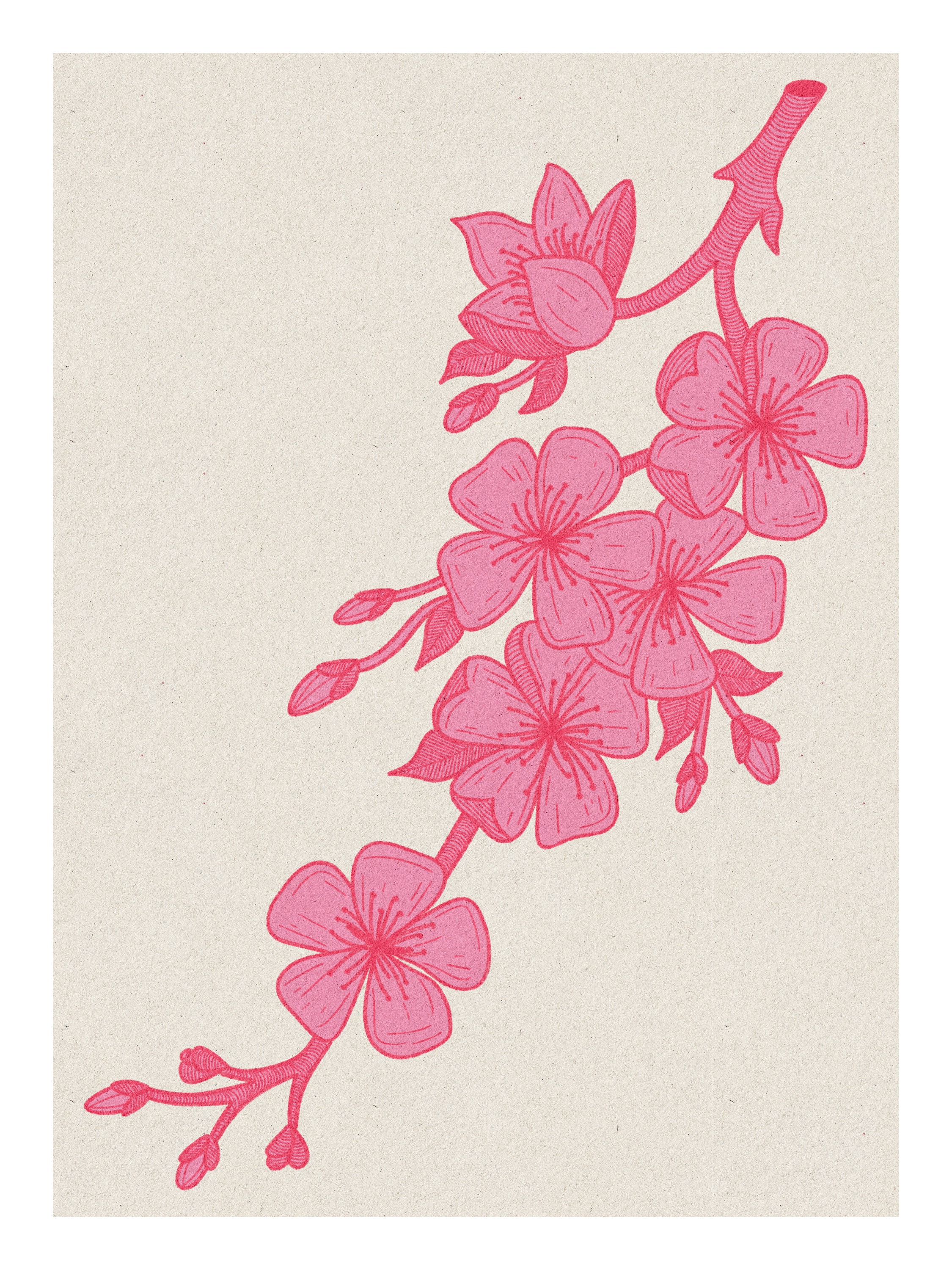 Pink Cherry Blossom Art Print: Floral Sakura Wall Decor - Etsy
