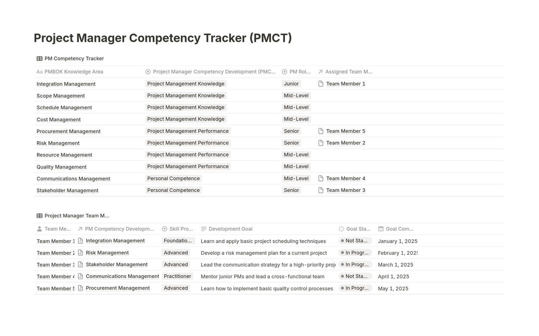 Basic Competency Tracker Project Management Competency Tracker - Etsy