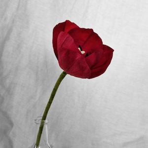 handmade crepe paper red tulip flower