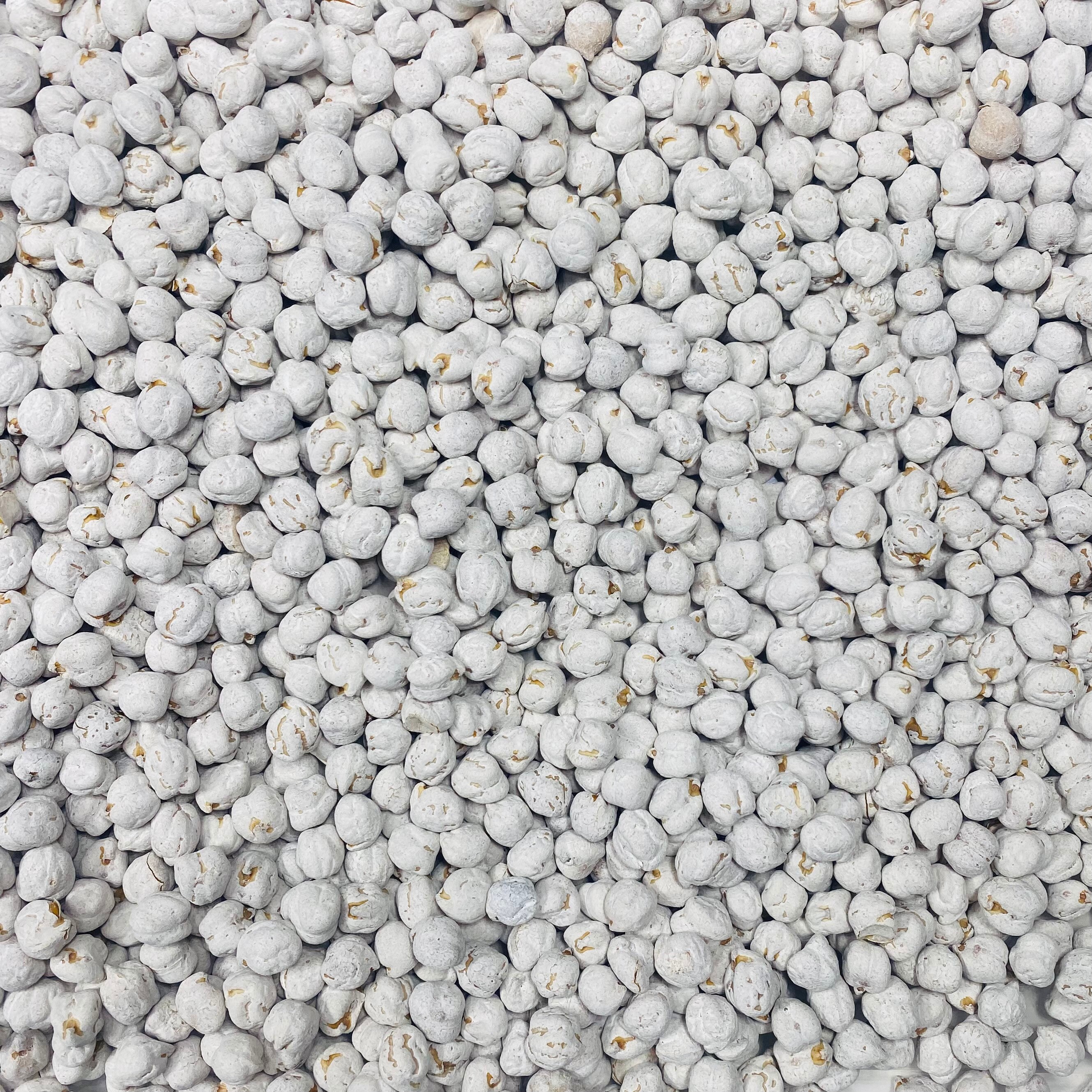 Sensory Bin Filler DIY Sensory Bin Hand Painted Chickpeas Etsy Sensory bin filler diy sensory bin hand painted chickpeas etsy