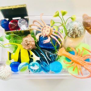 Ocean Playdough Kit, Under the Sea Playdough Kit, Sensory kit, Sensory Play, Play Doh kit, Sensory box, Ocean sensory bin, Play Dough Kit