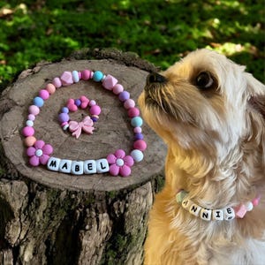 Matching pet necklace & owner bracelet set, personalized dog collar with beaded name, custom pet and owner gift, dog mom jewelry