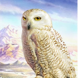 Owl/Animal (round) 30x40cm diamond art kit
