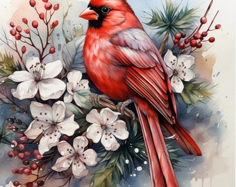 Cardinal (round) 40x40cm diamond art kit
