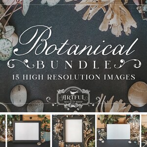Botanische frame mockupbundel | kaartmodel, plantmockups, flatlay-mockup