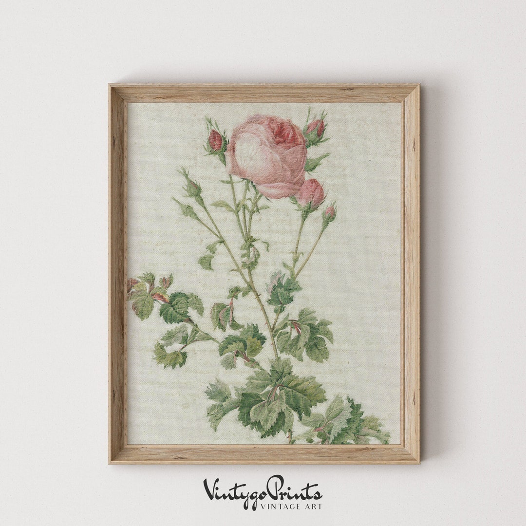 Pink Flowers With Green Leaves | Vintage Botanical Art | Neutral Oil ...