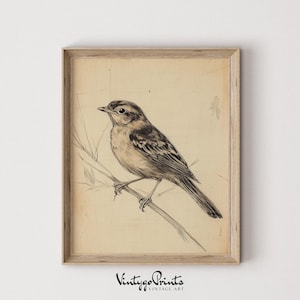 Vintage Bird Sketch Art | Minimalist Pencil Drawing | Rustic Child Room Decor | Farmhouse Beige Print | Printable Digital Download | 552