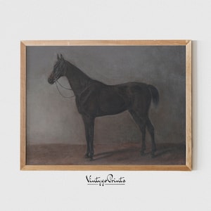 Vintage Black Horse Oil Painting: Farmhouse Animal Art (Digital Download) 380