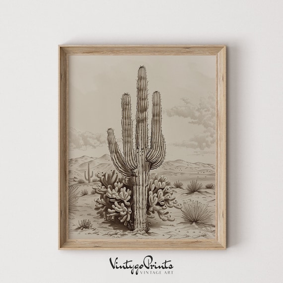 Vintage Kaktus Skizze Kunst: Western Wstenpflanze Zeichnung (Digitaler  Download) 550 - Etsy.de