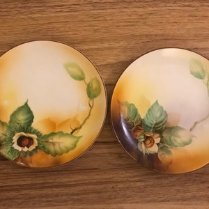 2 Noritake Hand Painted Chestnut Decorated 6 1/4” Plates M Wreath Nippon Japan