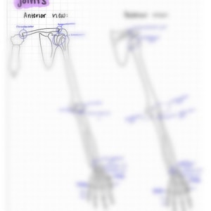 Upper Extremity Review