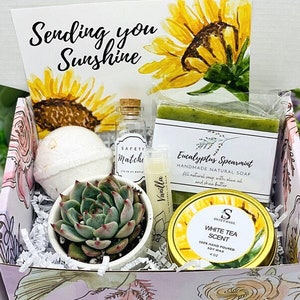 Thinking of You Succulent Gift Box Missing You Friendship Gift Box