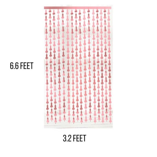 ROSE GOLD Party Door Decoration Penis Foil Curtain Wedding Bachelorette - Bachelorette Penis Party Supplies - Bachelorette Photo Background