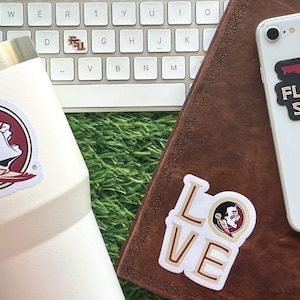 Florida State Stickers (14 Pieces) 2 car window (5") + 10 waterbottle (2") + 2 mini keyboard decals FSU Seminoles Gift for Men and Women