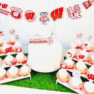 University of Wisconsin Party Supplies for UW Graduation, Birthday, Football Game Day Tailgating (42 PIeces) Wisconsin Badgers