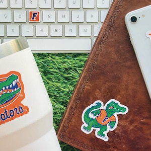 Florida Gators Stickers (14 Pieces) 2 car window (5&quot;) + 10 mug (2&quot;) + 2 mini keyboard decals University of Florida Gift for Men/Women