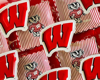 Wisconsin Badgers Party Supplies, Birthday, Graduation Decorations, Football Game Madison Tableware (37 Pieces, Serves 12)